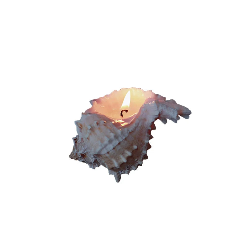 Conch Scented Candle