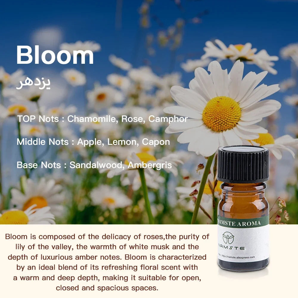 10 Flavors Aromatic Oils