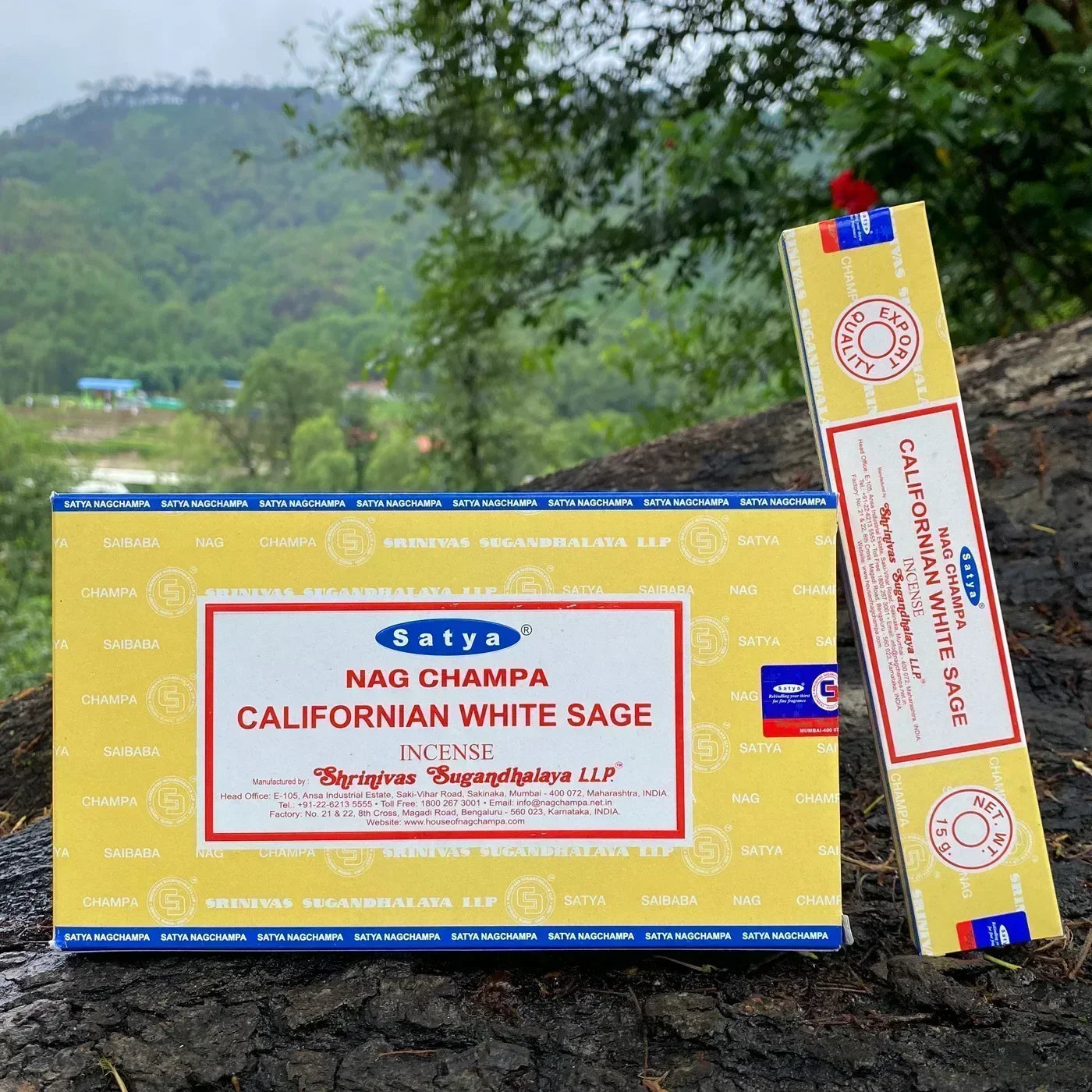 Champa Incense Sticks (India Satya) 12x small box