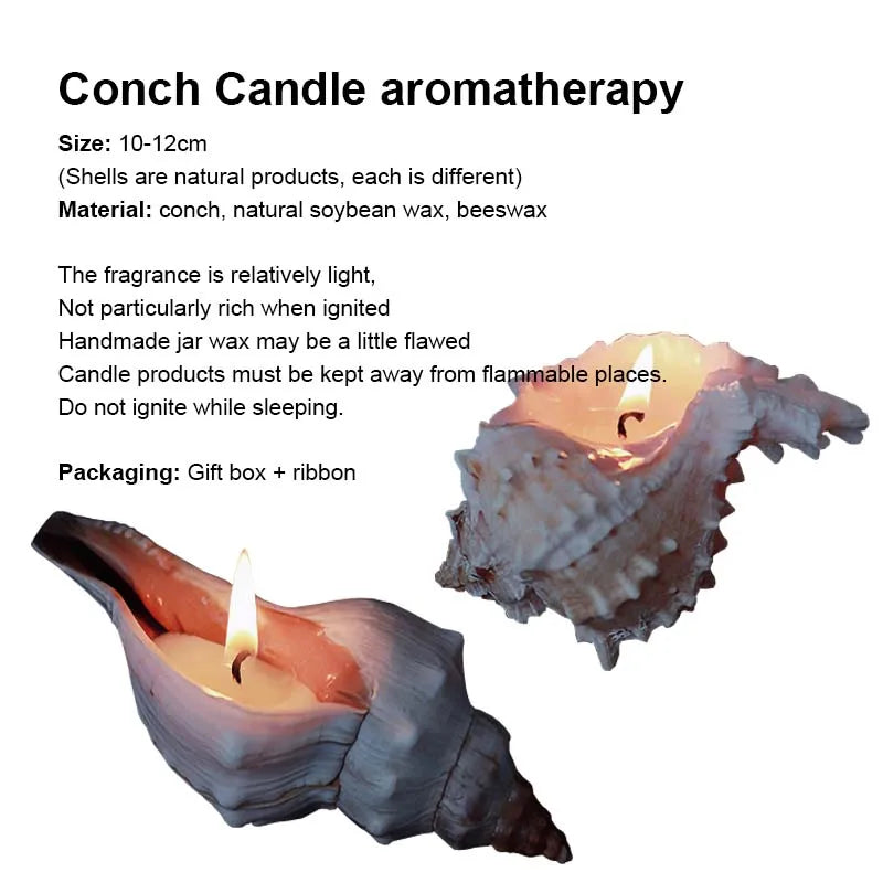 Conch Scented Candle
