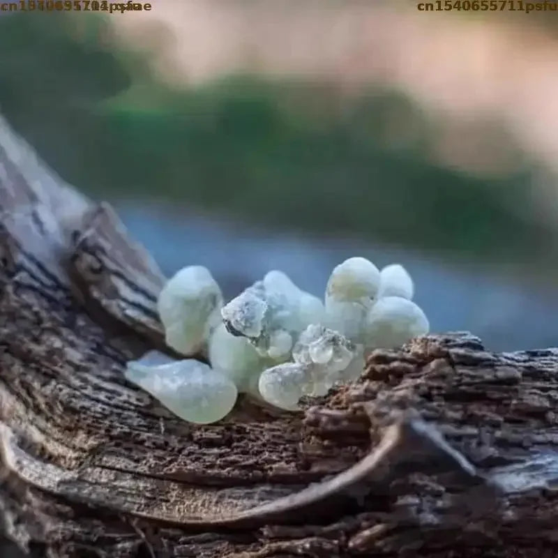 9 Types Incense Myrrh