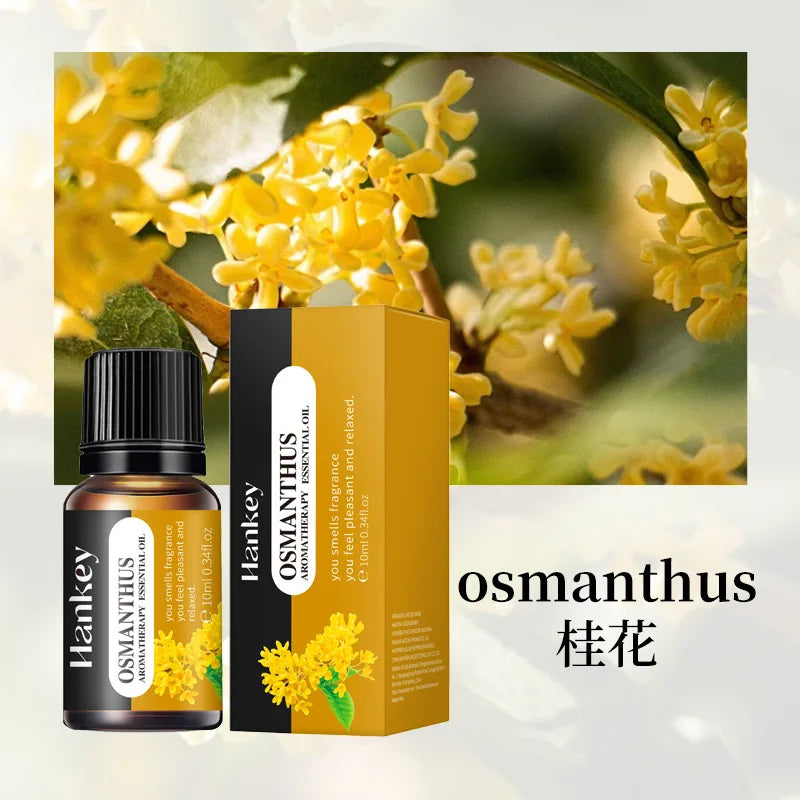 Essential Aroma Oils
